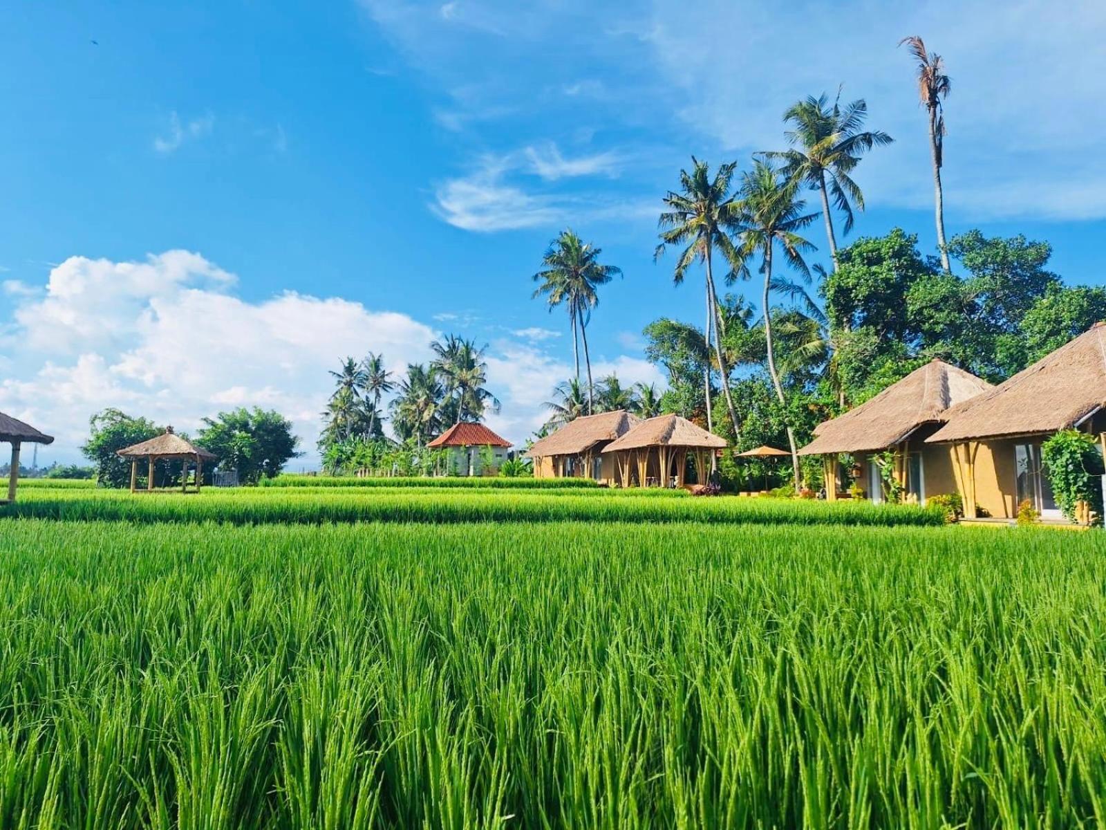 Rumah Kita Ecolodge أوبود المظهر الخارجي الصورة