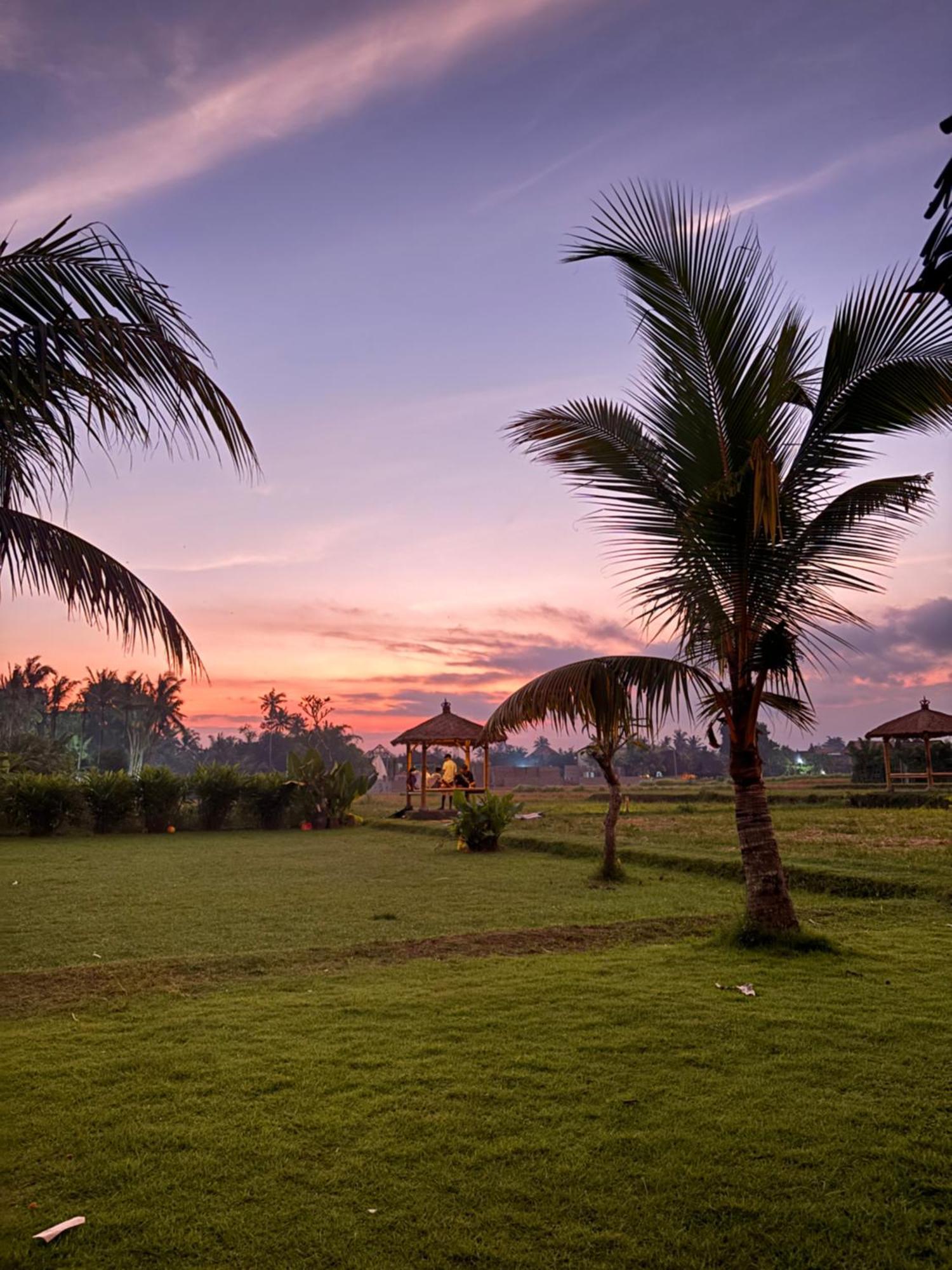 Rumah Kita Ecolodge أوبود المظهر الخارجي الصورة