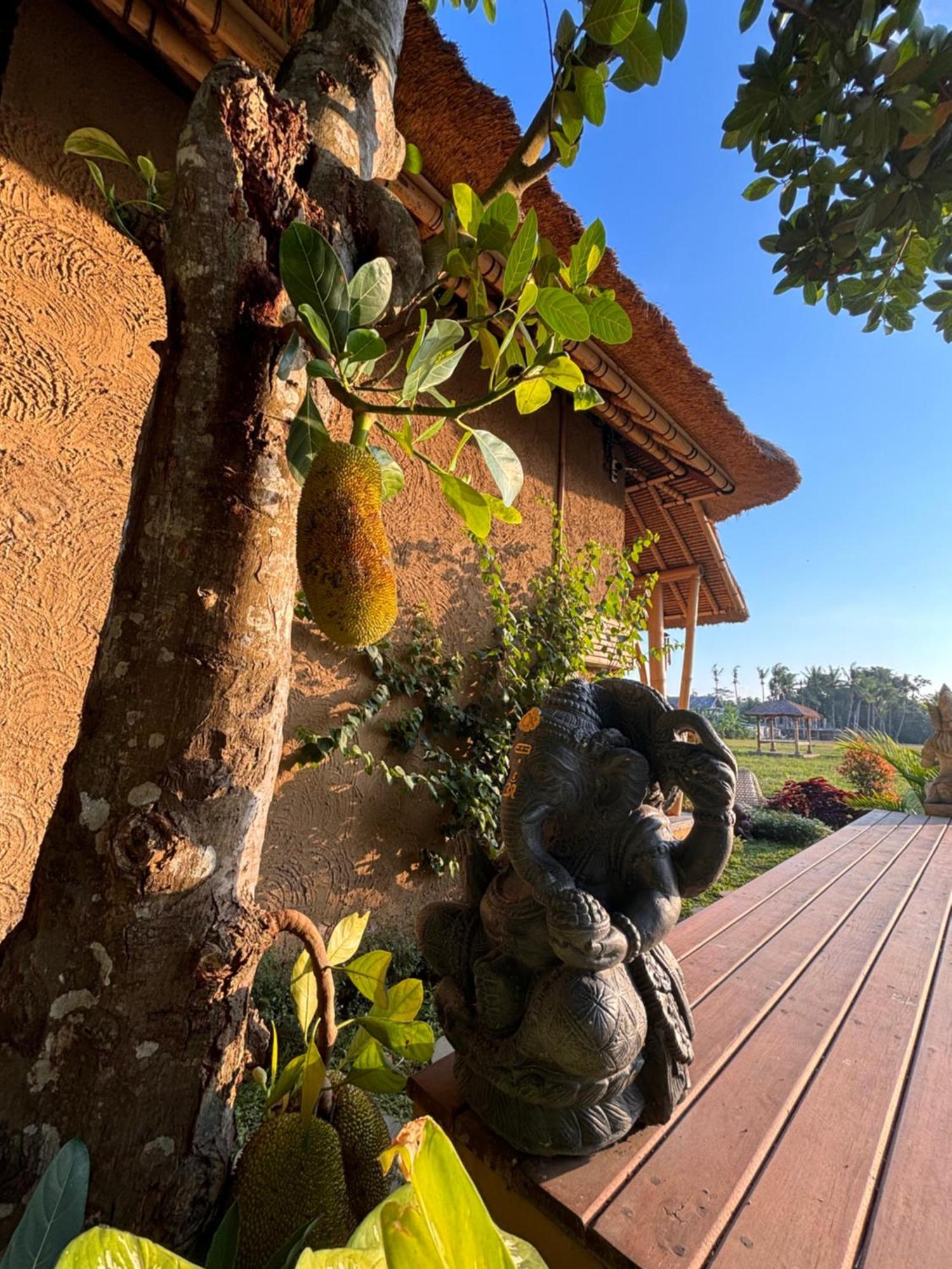 Rumah Kita Ecolodge أوبود المظهر الخارجي الصورة