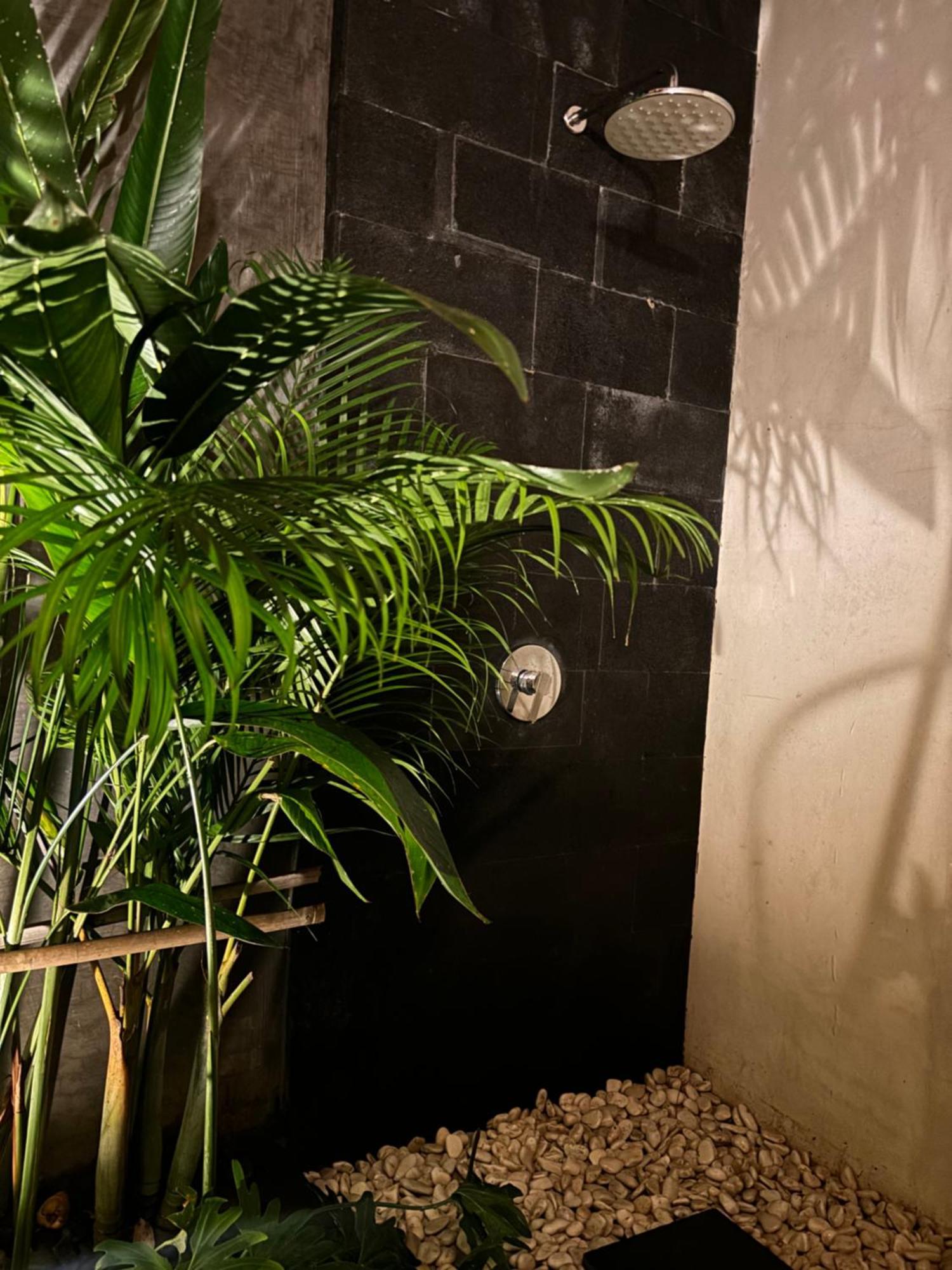 Rumah Kita Ecolodge أوبود المظهر الخارجي الصورة