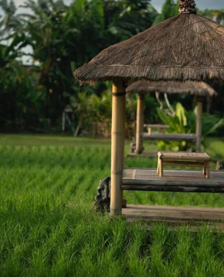 Rumah Kita Ecolodge أوبود المظهر الخارجي الصورة